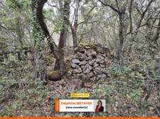 ?️ Terrain Naturel de 7 990 m² à Tavernes – Un Coin de Paradis en Provence Verte ?