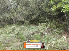 ?️ Terrain Naturel de 7 990 m² à Tavernes – Un Coin de Paradis en Provence Verte ?