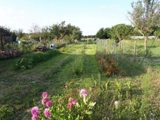 Charente Maritime (17), A vendre St-PIERRE OLERON charmante maison pêcheur P3 98m² plain-pied sur Terrain de 687m²