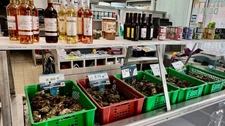 ILE D'OLÉRON emplac N°1, AV Murs 321m², marais 1,2ha et Fonds aquacole de production & dégustation de fruits de mer