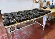 ILE D'OLÉRON emplac N°1, AV Murs 321m², marais 1,2ha et Fonds aquacole de production & dégustation de fruits de mer