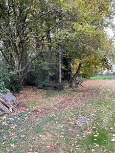 Maison de village avec assainissement aux normes validé !  69000€ à saisir