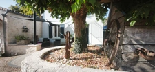Vouillé – Maison de caractère 150 m² – Terrain arboré de 1100 m² – Coup de cœur assuré