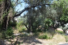 Toulon 4 chemin des routes / chemin de pelvoux Terrain constructible de 722 m2 zone UE emprise 25% 