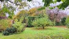 Maison de caractère-135 m2-Terrain-Brion près Thouet (79)