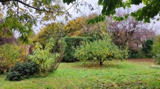 Maison de caractère-135 m2-Terrain-Brion près Thouet (79)