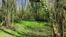 Maison de caractère à la campagne