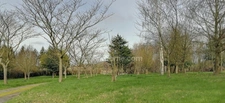 À vendre : Longère rénovée avec potentiel de chambres d’hôtes PLOUASNE (22)