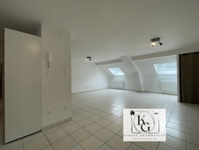 Appartement en duplex T3 KNUTANGE (57)
