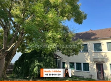 Bourg historique de Saint-Apollinaire – Charme & Potentiel, maison mitoyenne 120 m² habitables – 7 pièces – 4 chambres – Terrain arboré avec dépendances