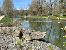 DIJON LAC - RESIDENCE de 4 ETAGES, DPE C, 4 PIECES 84 m², BALCON 6 m², CHAUFFAGE URBAIN, PARKING SOUS-SOL, GRANDE CAVE 