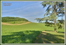 Dpt Lot et Garonne (47), à vendre proche d' AGEN Propriété P8 de 385 m² plus dépendances de 400 M2- Terrain d'une Hectare