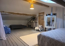 Maison à vendre 17 pièces SAINT SULPICE DE ROUMAGNAC (24)