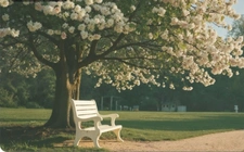 appartement à vendre 3 pièces BOURG EN BRESSE (01)