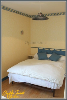 ensemble de 2 maisons en pierre + grange + grand terrain 