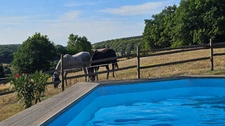 Maison en pierre rénovée – Belle vue sur la campagne