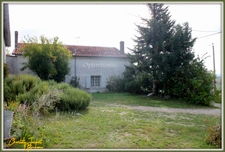 ensemble de 2 maisons en pierre + grange + grand terrain 