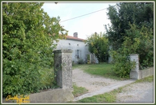 ensemble de 2 maisons en pierre + grange + grand terrain 