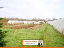 Lumineuse maison familiale de 168m2 au sol sur 2 niveaux et 1.6 hectare de terrain + 276m2 de dépendances