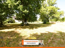 Maison + dépendances avec énorme potentiel à Fontaines sur 1 hectare de terrain clos et arboré