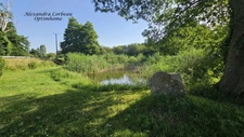 Ensemble immobilier de rapport – 3 logements et 2 hangars sur plus de 5 000 m² LA PELLERINE (49)