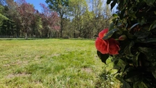  PROPRIÉTÉ DE CHARME EN PLEINE NATURE Proche ECOMMOY (72)