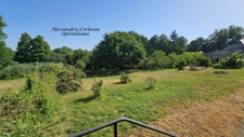 Ensemble immobilier de rapport – 3 logements et 2 hangars sur plus de 5 000 m² LA PELLERINE (49)