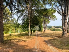 PROPRIETE D'EXCEPTION AVEC 8 HECTARES, 2 LACS - VUE IMPRENABLE SUR LES PYRENES - CASTERA VAERDUZAN (32)