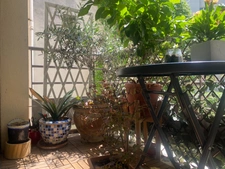 3 pièces de 72 m² avec balcon, parking et cave – À deux pas du parc Georges Brassens Paris 15ème arrondissement