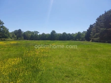 Terrain à vendre de 8 500,00 m² VILLEFRANCHE SUR CHER 41 dans un environnement très calme et verdoyant 