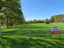 Terrain à vendre de 8 500,00 m² VILLEFRANCHE SUR CHER 41 dans un environnement très calme et verdoyant 
