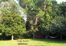 Maison 7 pièces sur terrain arboré de 2441m2 PALAU DEL VIDRE (66)