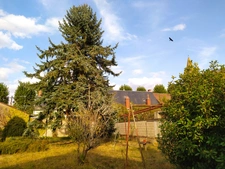 Ensemble immobilier à rénover - 2 maisons individuelles - terrain -  82 000€