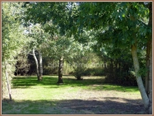 Maison plain-pied - 1 chambre - Terrain 8000 m², 159 600 €