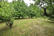 Maison à vendre 6 pièces avec garage NEUVILLE SUR SAONE (69)