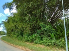 Terrain à vendre de 4 262,00 m² MACOURIA (973)