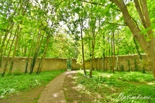 Charmant appartement 3/4 pièces à Poissy - Résidence de standing avec espaces verts et équipements de loisirs