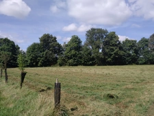 Terrain agricole BIO à vendre de plus de 11 hectares  LA VRAIE CROIX (56)
