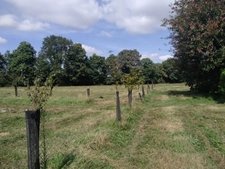 Terrain agricole BIO à vendre de plus de 11 hectares  LA VRAIE CROIX (56)