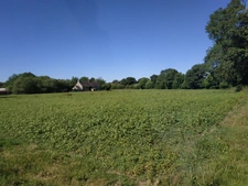 Terrain agricole BIO à vendre de plus de 11 hectares  LA VRAIE CROIX (56)