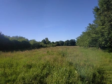 Terrain agricole BIO à vendre de plus de 11 hectares  LA VRAIE CROIX (56)