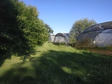 Terrain agricole BIO à vendre de plus de 11 hectares  LA VRAIE CROIX (56)