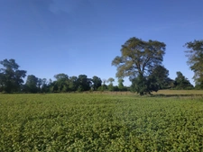 Terrain agricole BIO à vendre de plus de 11 hectares  LA VRAIE CROIX (56)