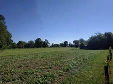 Terrain agricole BIO à vendre de plus de 11 hectares  LA VRAIE CROIX (56)
