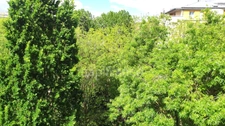 PARIS 12EME ARRONDISSEMENT,  appartement 2 pièces dans Résidence de service séniors 