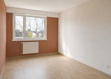 Appartement à vendre 4 pièces SAINT LOUIS (68) a proximité de la frontière - Appartement traversant de 94 m2 avec cave et balcon