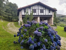 Propriete à vendre 7 pièces SARE (64)