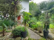 Maison à vendre 8 pièces URRUGNE (64)