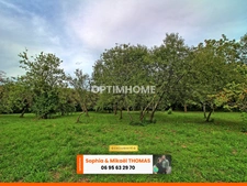 Terrain à vendre de 3 040,00 m² CHAUSSIN (39)