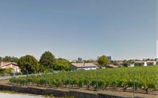Maison 5 pièces 108m2 PESSAC Haut Brion vue exceptionnelle - Dépendances